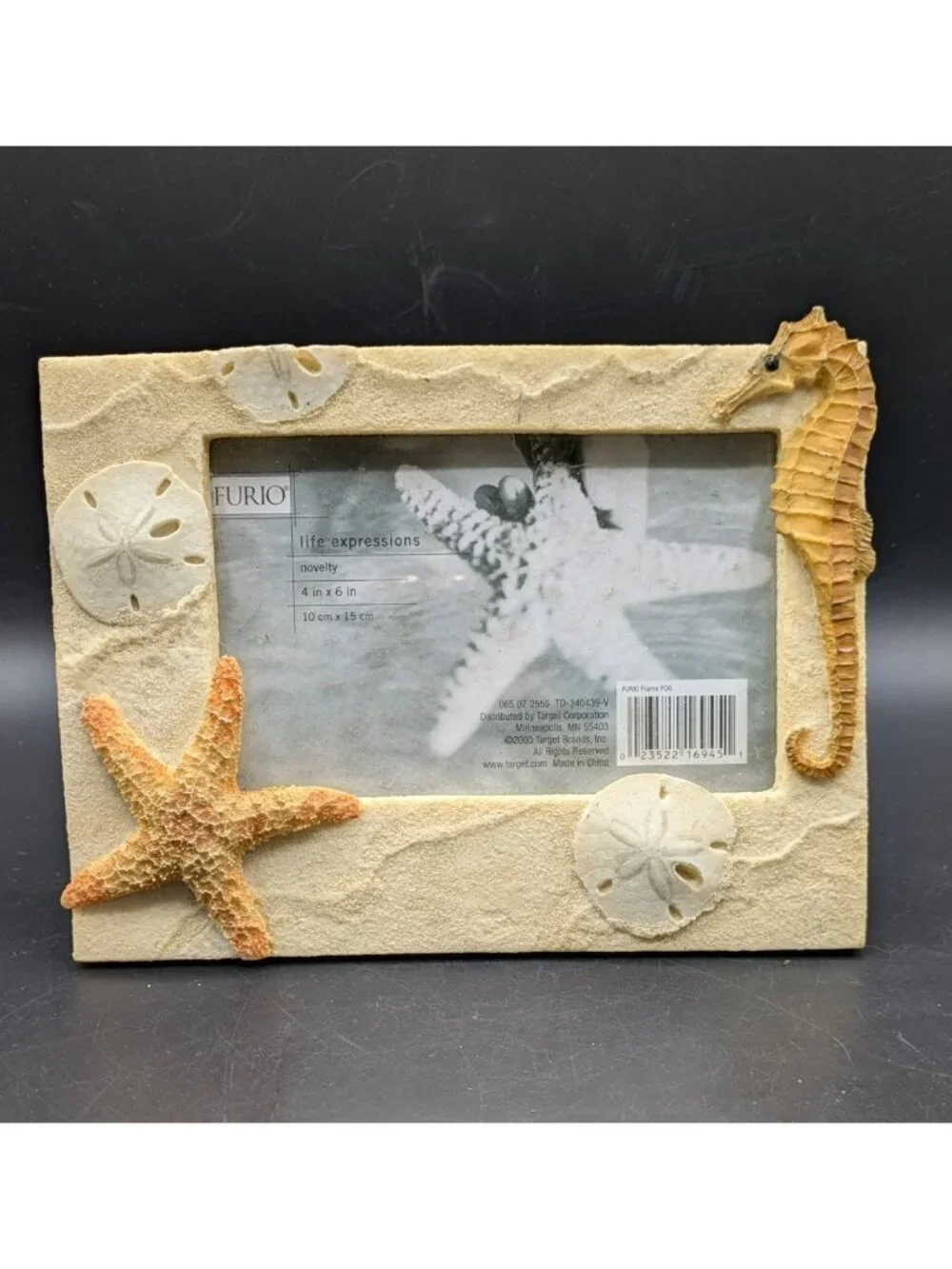 Sea Horse and Sand Dollar Sea Life Picture Frame Holds 4x6 Photo Beach Sand